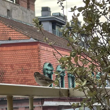 Apartment Terrace In Old Town - Castle & Cathedral View *